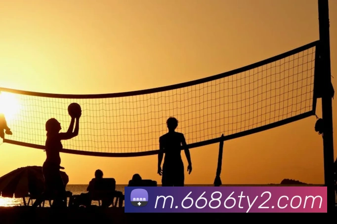 互动解说服务